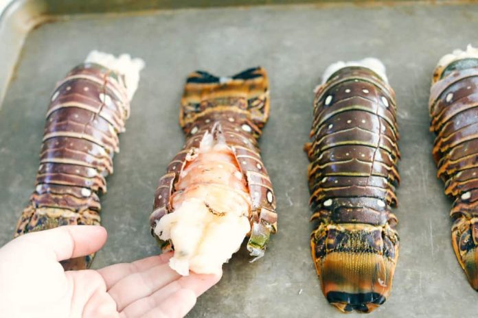 How to cook lobster tail?