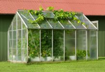 How to build a greenhouse? How to build a greenhouse